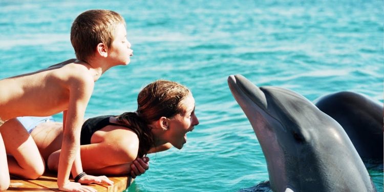 Reserva marinha de Golfinhos em Israel