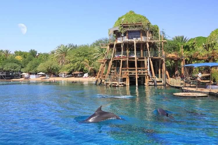 Israel em Família: Onde ir com crianças na Terra Santa