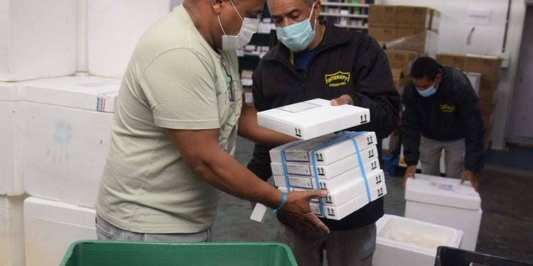 Novo lote de 450 mil vacinas contra Covid-19 vai para adolescentes e reforço dos idosos