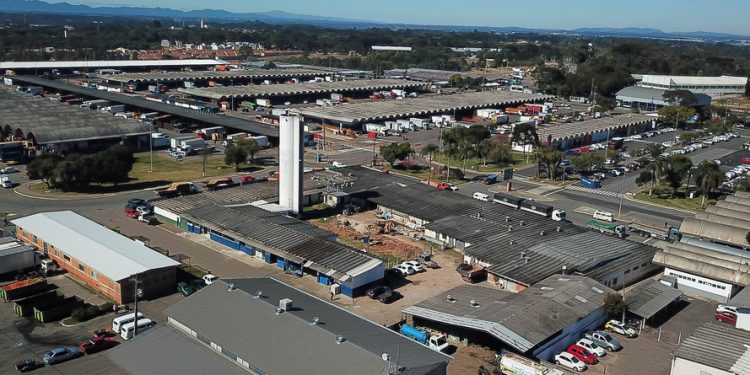 Concurso: Ceasa Paraná realiza prova no dia 19 de dezembro para oito vagas