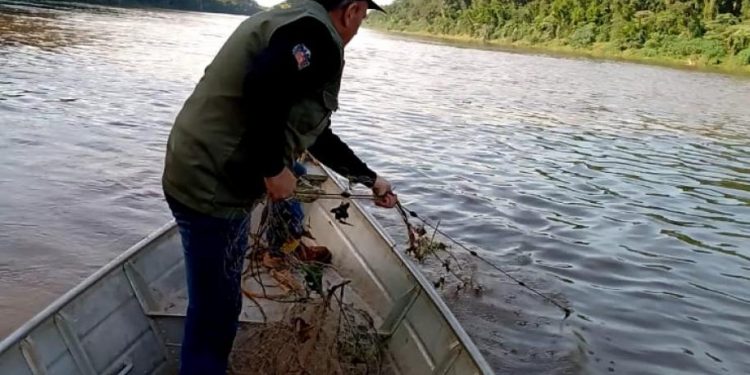 Começa o período de restrição à pesca no Paraná