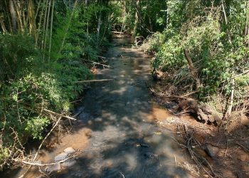 20 cidades do Paraná estão com rodízio de água por falta de chuva