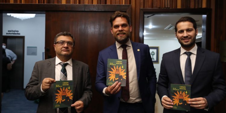 Projeto que garante acesso a medicamentos e produtos da cannabis medicinal pode ser votado na próxima semana