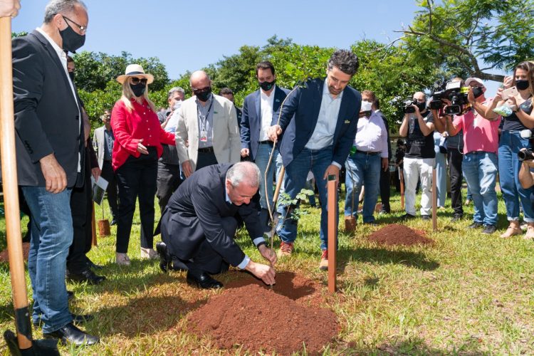 Com ministros e governador, cerimônia marca o plantio de 24 milhões de árvores na Itaipu