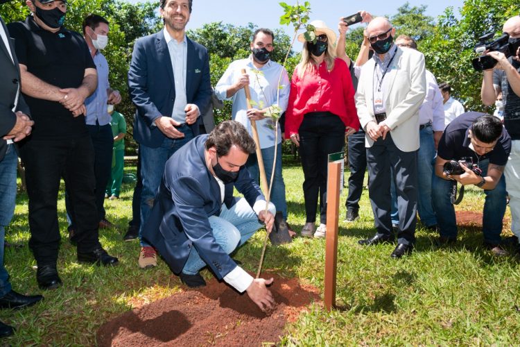 Com ministros e governador, cerimônia marca o plantio de 24 milhões de árvores na Itaipu