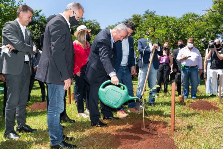 Com ministros e governador, cerimônia marca o plantio de 24 milhões de árvores na Itaipu