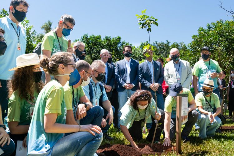 Com ministros e governador, cerimônia marca o plantio de 24 milhões de árvores na Itaipu