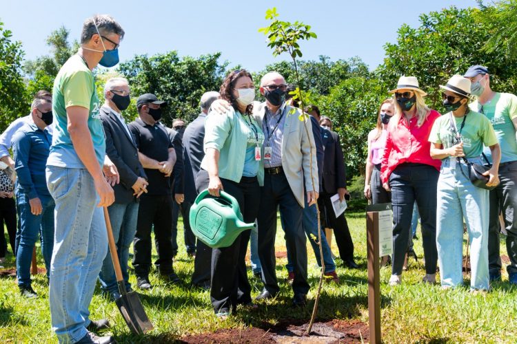 Com ministros e governador, cerimônia marca o plantio de 24 milhões de árvores na Itaipu