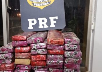 PRF apreende 47 kg de capulho, variação da maconha em Santa Terezinha de Itaipu