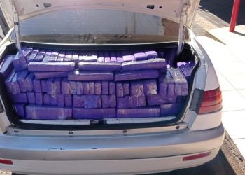 Após fuga de abordagem na ponte, veículos são apreendidos com uma tonelada de maconha