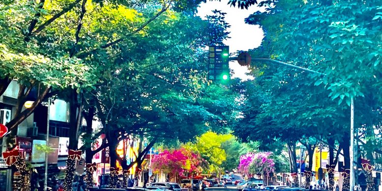 Avenida Brasil é iluminada com decoração natalina e terá programação especial