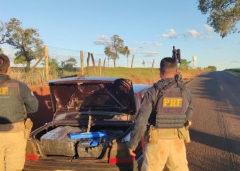 Homem é preso em flagrante por transportar quase 350 quilos de maconha no oeste do Paraná