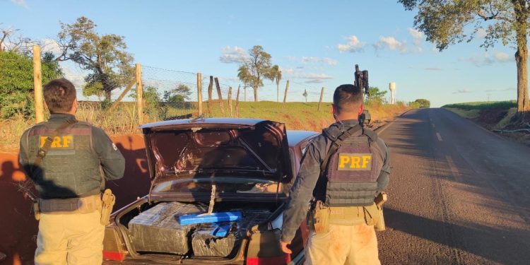 Homem é preso em flagrante por transportar quase 350 quilos de maconha no oeste do Paraná