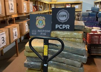 Polícias apreendem 550kg de maconha e 25 caixas de cigarros em Santa Helena