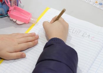 Cadastro de fornecedores para o programa do Material Escolar será aberto no dia 27 de dezembro