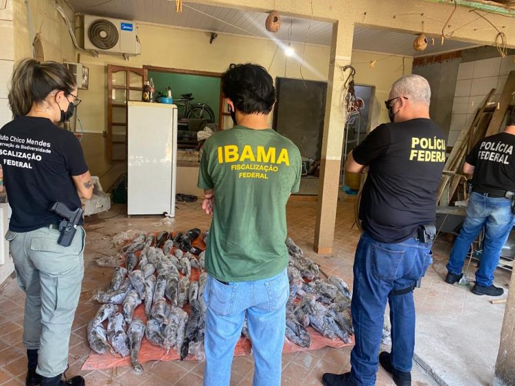 Polícia Federal apreende quase 200kg de peixe oriundo de pesca ilegal no Porto Meira