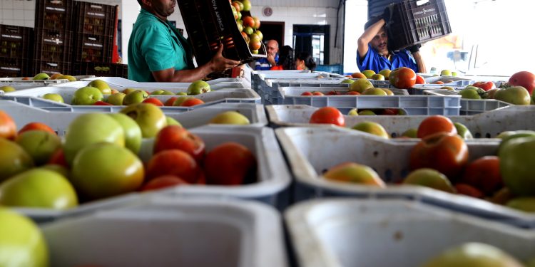 Ceasas do Paraná estarão fechadas nos dias 25 e 31 de dezembro