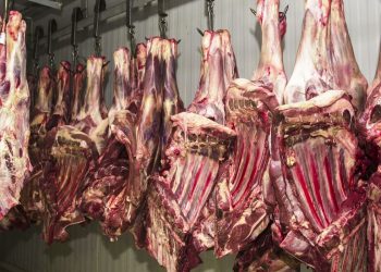 Preço deve subir: China retoma importação de carne brasileira