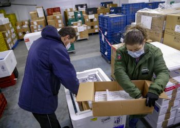 Agilidade nas entregas de vacinas aos municípios ajudou a salvar vidas no Paraná em 2021