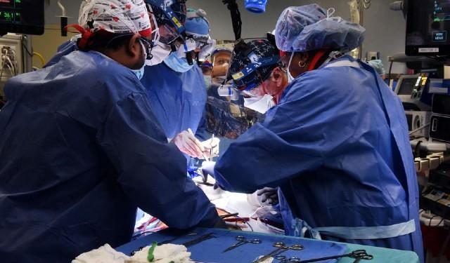 Homem recebe coração de porco em transplante pela primeira vez