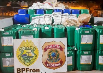 Forças de segurança apreendem carga de agrotóxicos avaliada em R$10 milhões na região Oeste