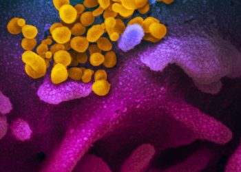 Casos diários de covid-19 aumentam mais de 6 vezes em uma semana