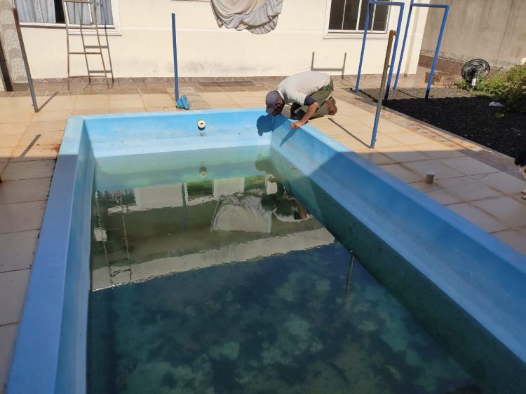 Piscinas abandonadas viram criadouras de mosquitos em Foz do Iguaçu