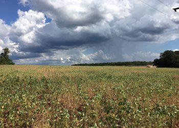 Santa Terezinha de Itaipu decreta estado de emergência devido à crise hídrica