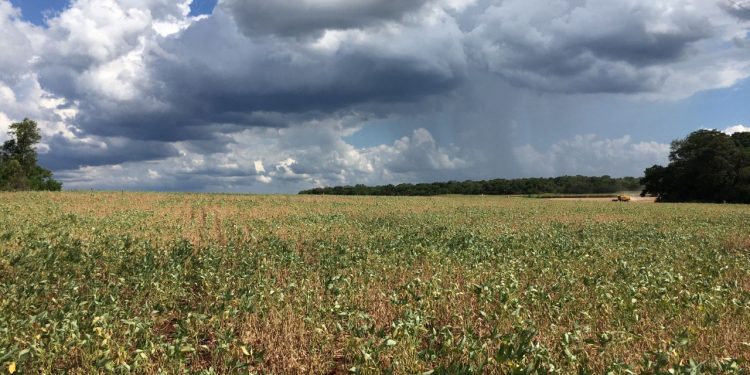 Santa Terezinha de Itaipu decreta estado de emergência devido à crise hídrica