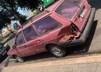 Diretoria de Bem-Estar Animal atende denúncia de animal abandonado e em situação de maus-tratos