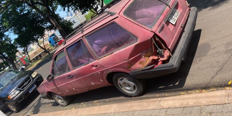 Diretoria de Bem-Estar Animal atende denúncia de animal abandonado e em situação de maus-tratos