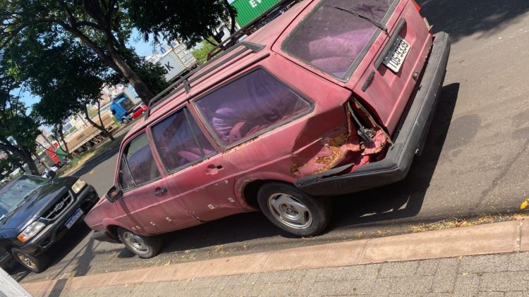 Diretoria de Bem-Estar Animal atende denúncia de animal abandonado e em situação de maus-tratos