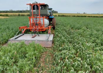 Pesquisadores desenvolvem protótipo de máquina de capina a vapor