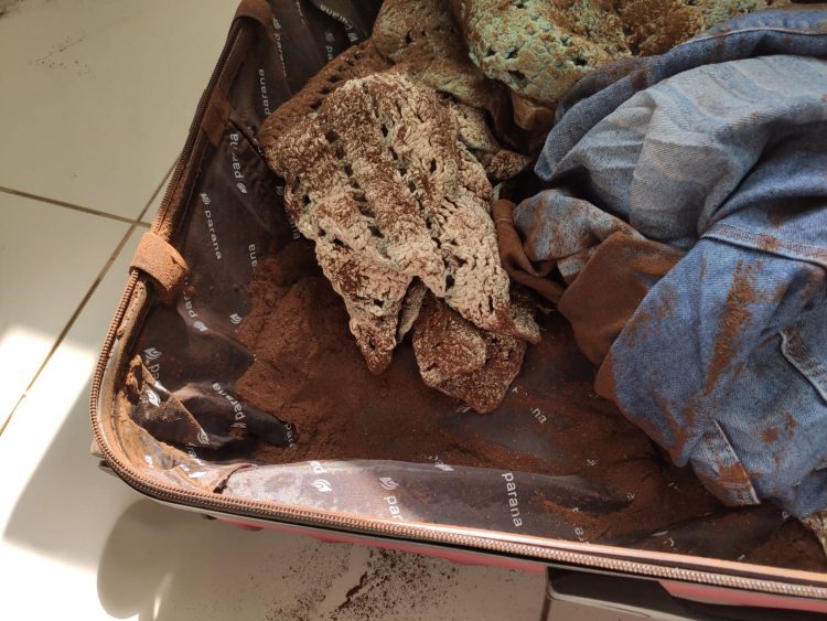 Maconha é apreendida por policiais federais em bagagem despachada na rodoviária