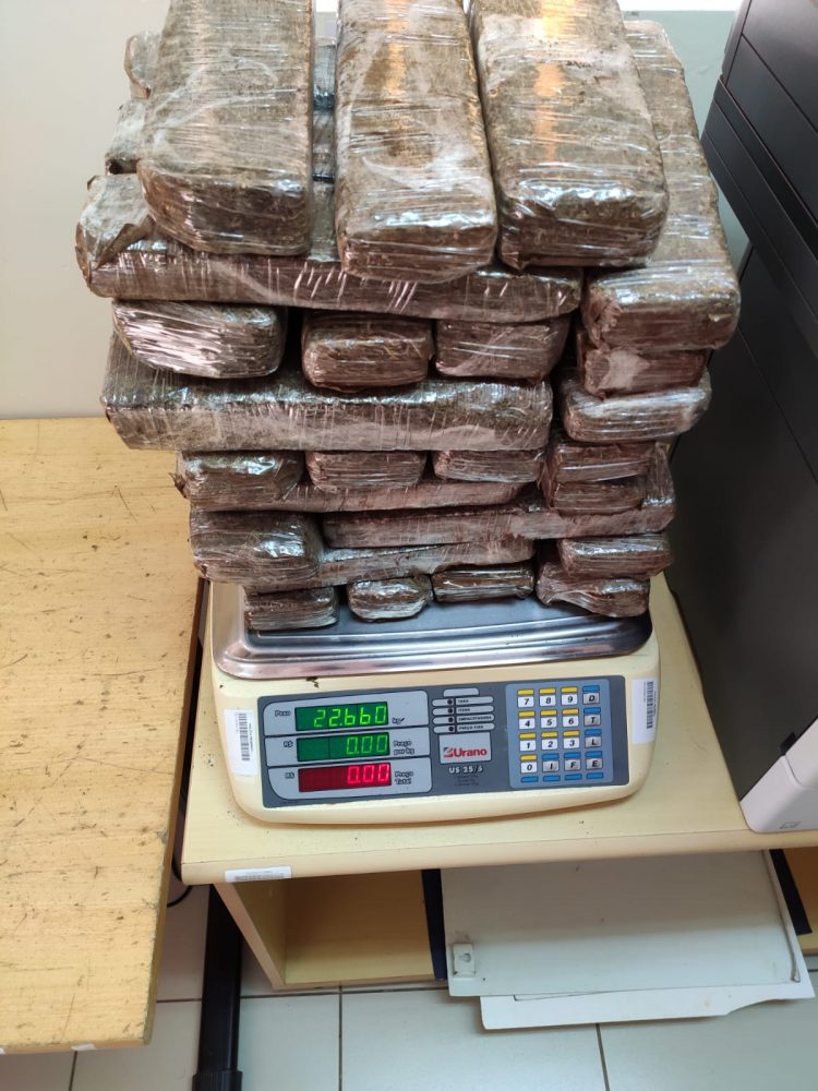 Maconha é apreendida por policiais federais em bagagem despachada na rodoviária