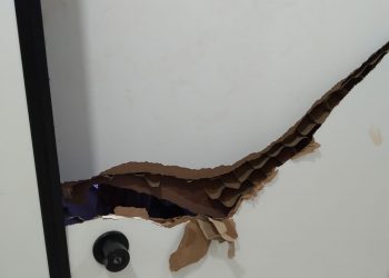 Dois homens são presos após arrombamento de Centro de Convivência