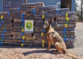 BPFRON apreende 400kg de maconha em Santa Helena