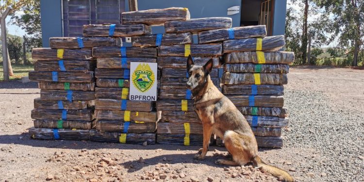 BPFRON apreende 400kg de maconha em Santa Helena
