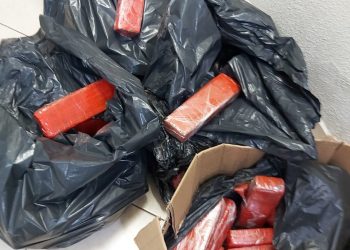 Polícia Civil apreende 81kg de maconha em Foz