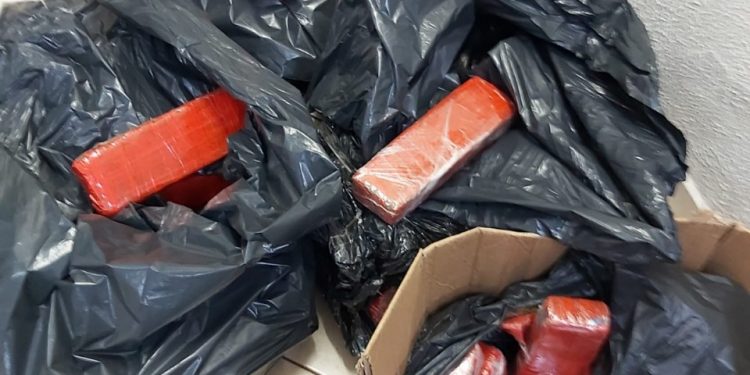 Polícia Civil apreende 81kg de maconha em Foz