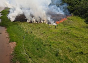 fogo-queimada-mata queimada-incendio florestais