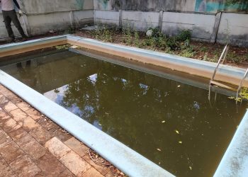 Piscinas abandonadas viram criadouras de mosquitos em Foz do Iguaçu