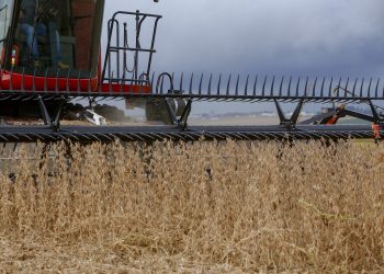 Previsão de safra aponta redução de 39% no potencial da soja