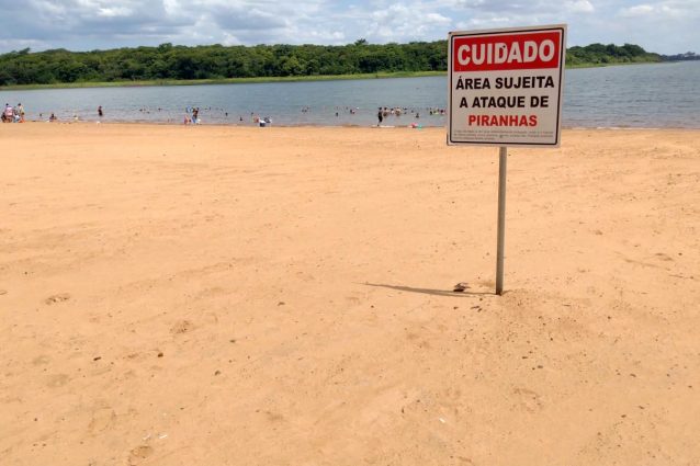piranhas-praia