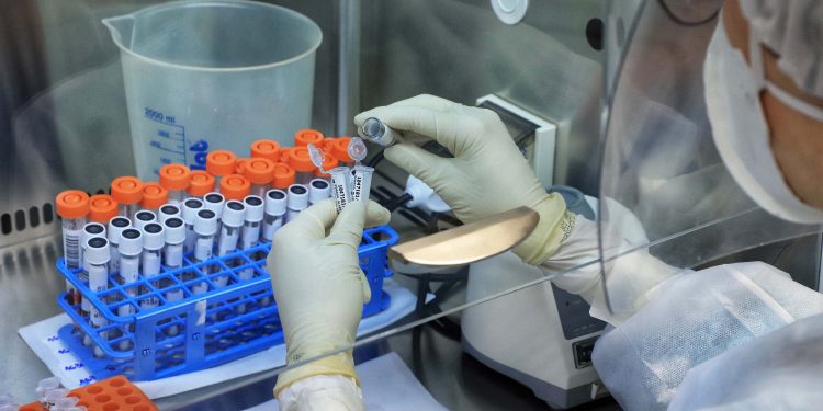 Variante Ômicron é predominante no Paraná, mostra relatório da Fiocruz