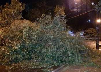 Temporal atinge Cascavel e deixa quase 4 mil pessoas sem energia