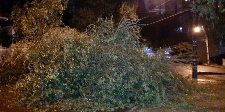 Temporal atinge Cascavel e deixa quase 4 mil pessoas sem energia