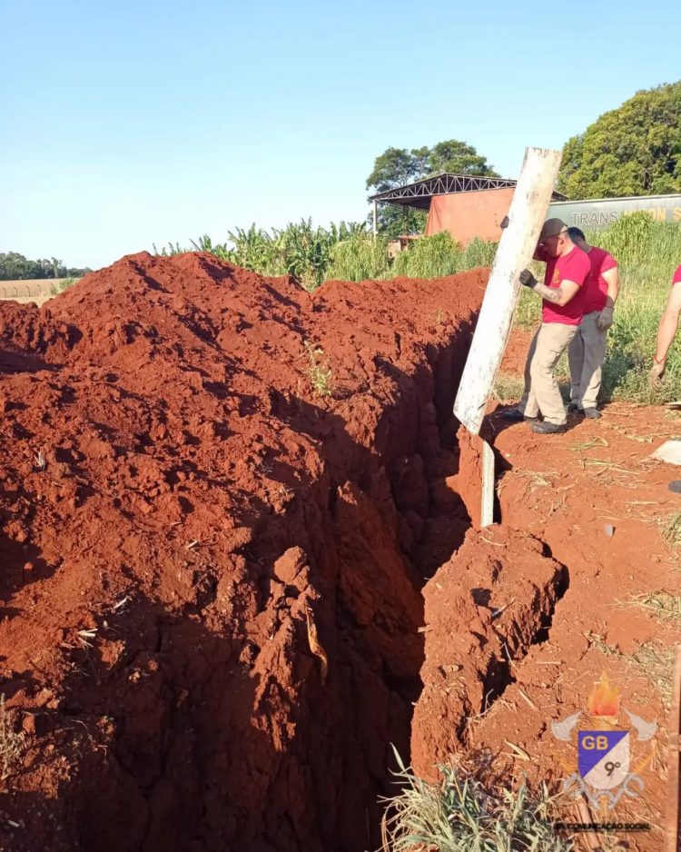 Bombeiros regatam cachorrinha e filhotes em valete na área rural