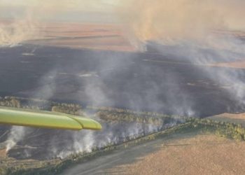 Incêndios fora de controle arrasam nordeste argentino