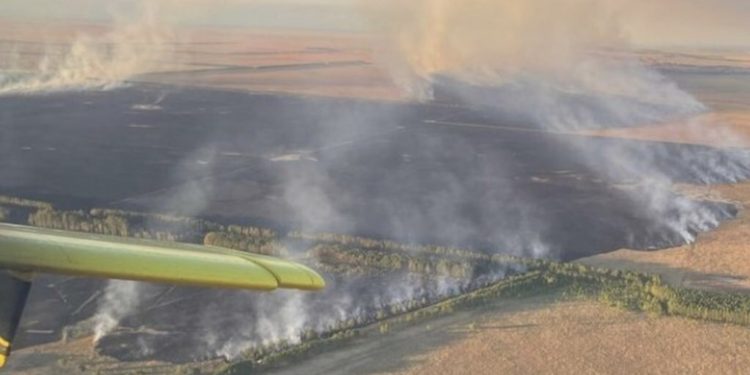 Incêndios fora de controle arrasam nordeste argentino